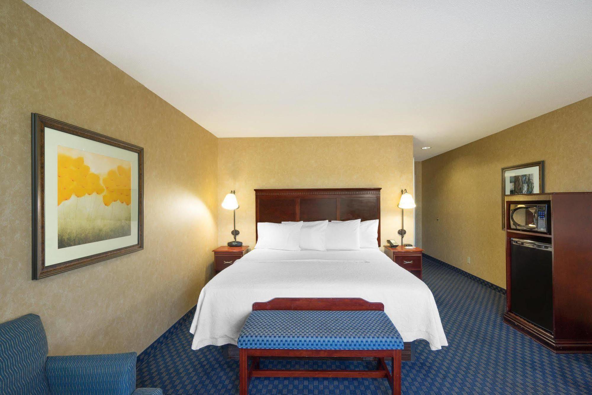 Hampton Inn Maysville Dış mekan fotoğraf